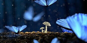 img-5ebbe956638e8908af86939f